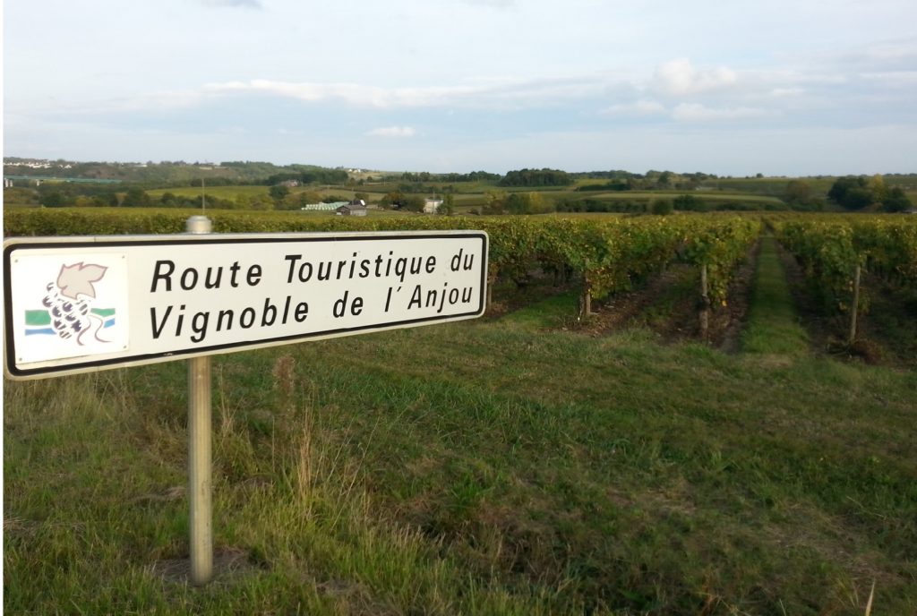 balade 2cv dans les vignes