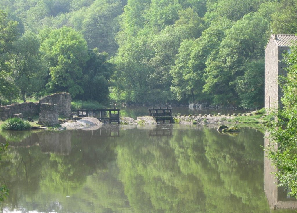 Chaussée sur la Sèvre