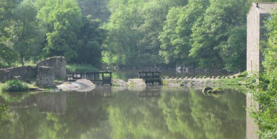 Chaussée sur la Sèvre