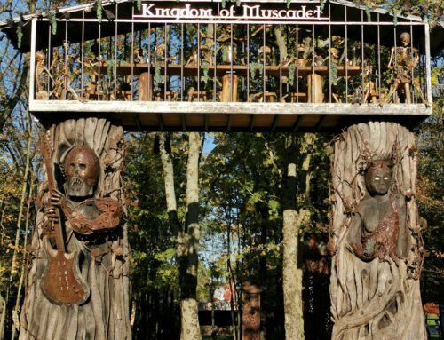 HELFEST Kingdom of Muscadet